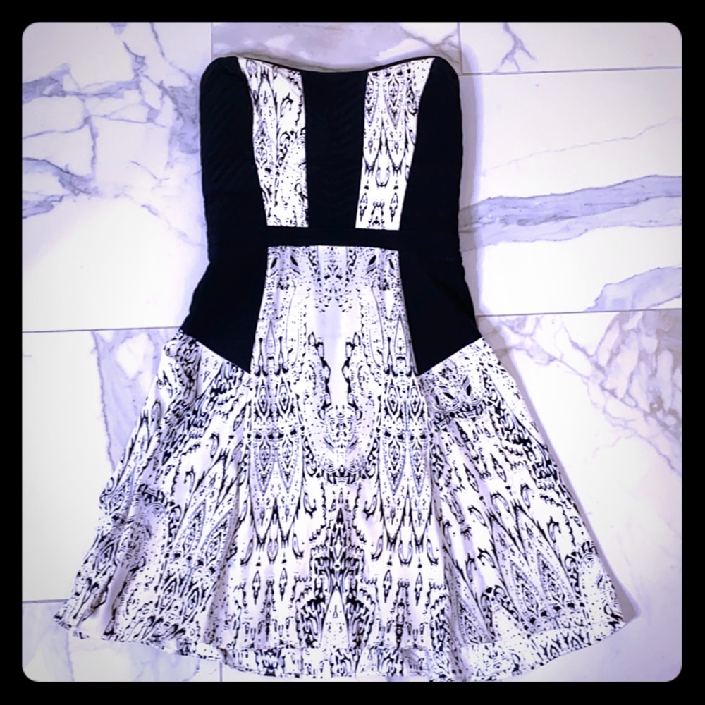 Parker Strapless, Black & White Silk Dress